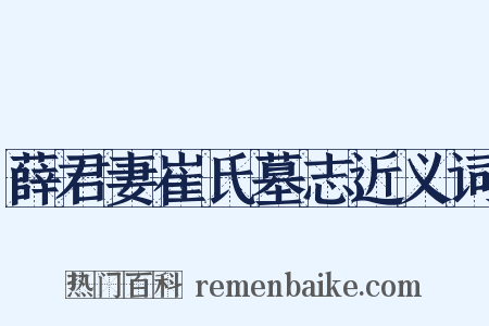 薛君妻崔氏墓志近义词是什么意思的图片